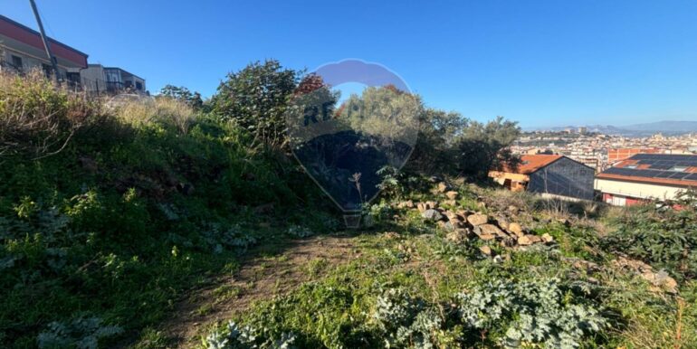 20250109172750-918409-1