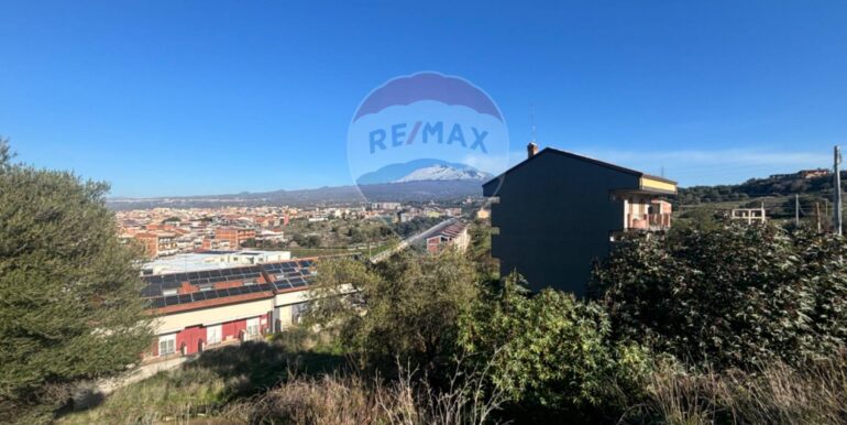 20250109172801-918409-5