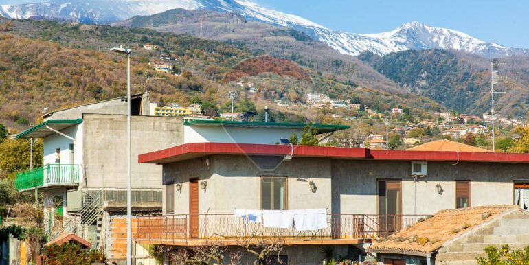 20250114202426-919544-3