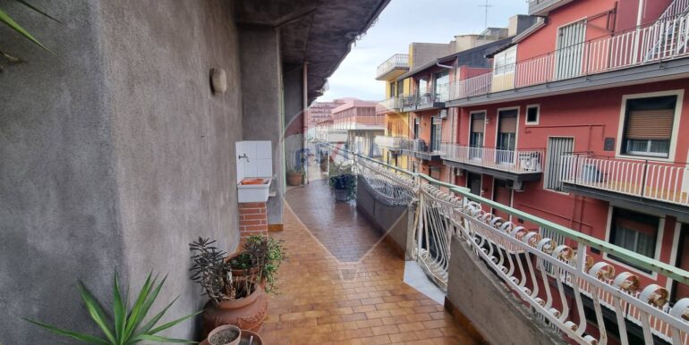 20250116104947-919958-5