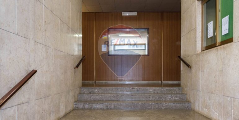 20250116183303-919510-4