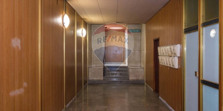 20250116183306-919510-6