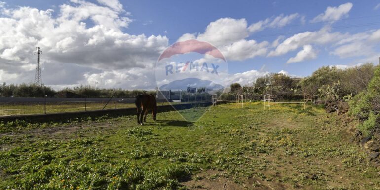 20250123140750-921654-5