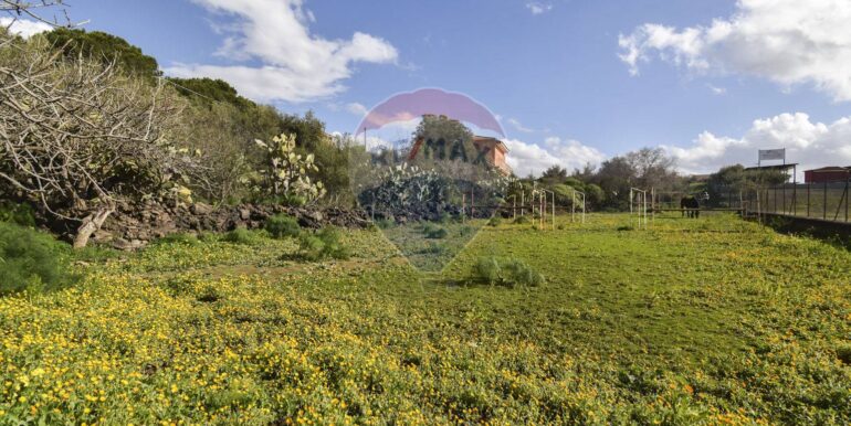 20250123140753-921654-7