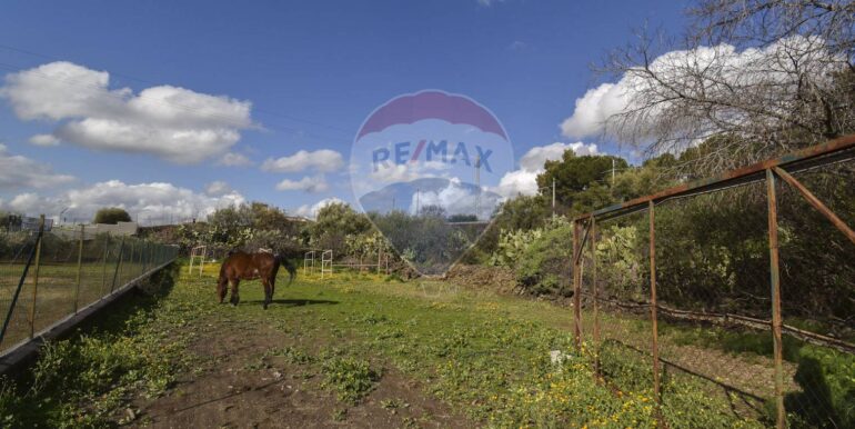 20250123140756-921654-9