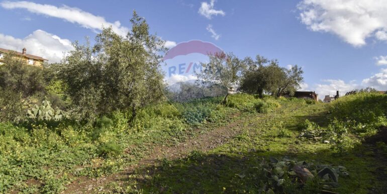 20250123140758-921654-10