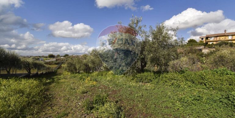 20250123140800-921654-11