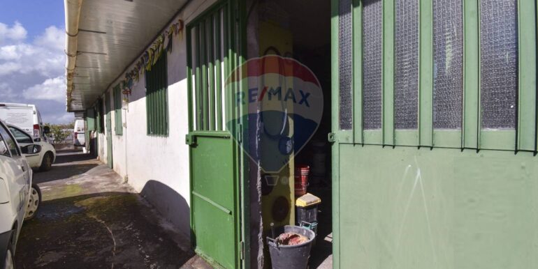 20250123140803-921654-13