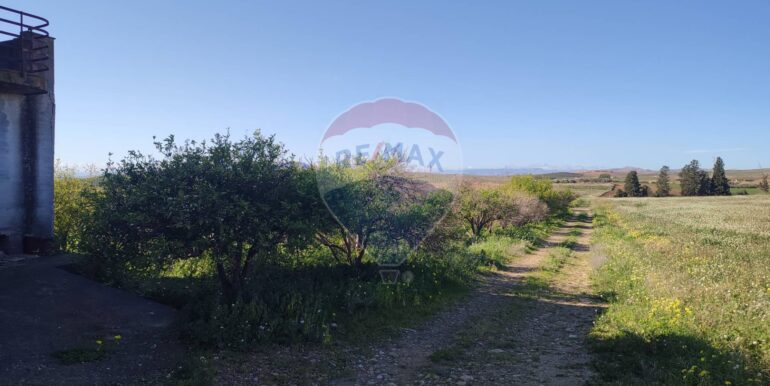 20250124143234-921819-1