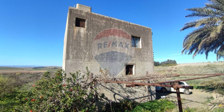 20250124143238-921819-3