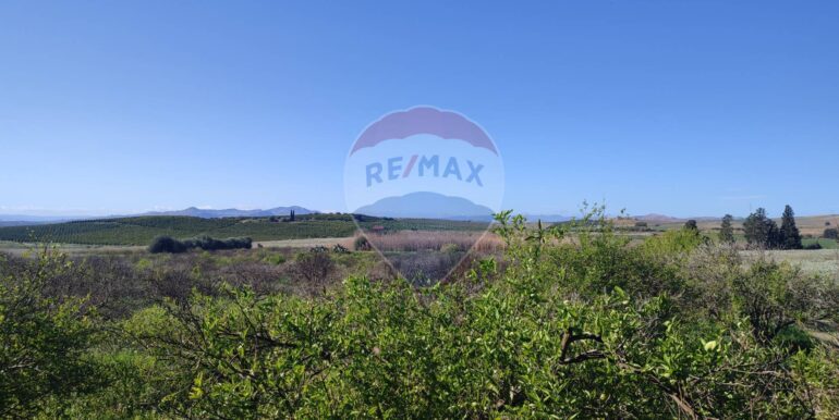 20250124143242-921819-5