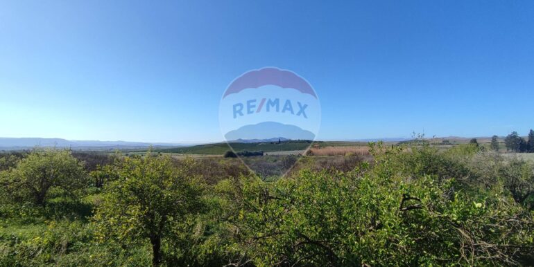 20250124143244-921819-6