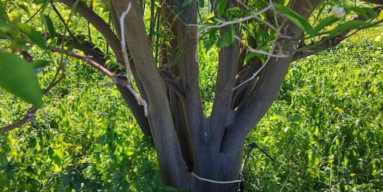 20250124143254-921819-11