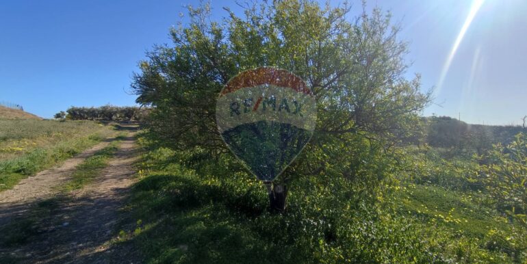 20250124143256-921819-12