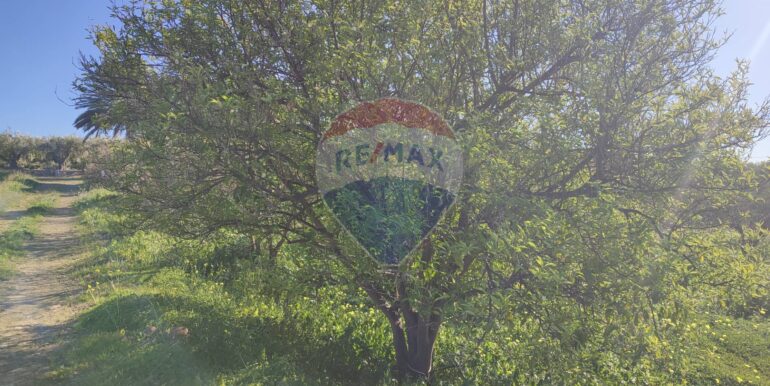 20250124143258-921819-13