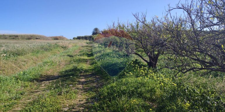 20250124143301-921819-14