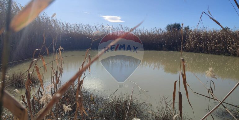 20250124143303-921819-15