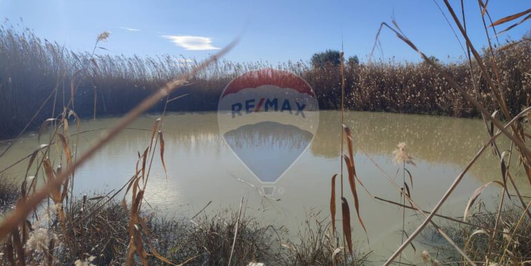 20250124143305-921819-16