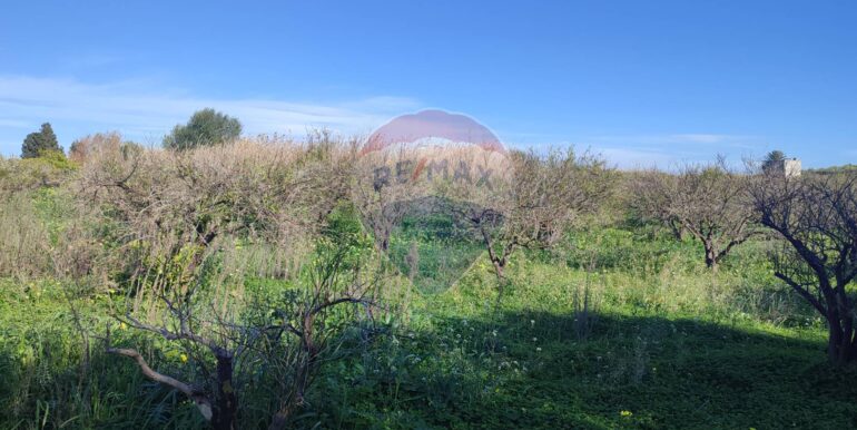 20250124143307-921819-17