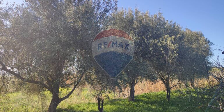 20250124143309-921819-18