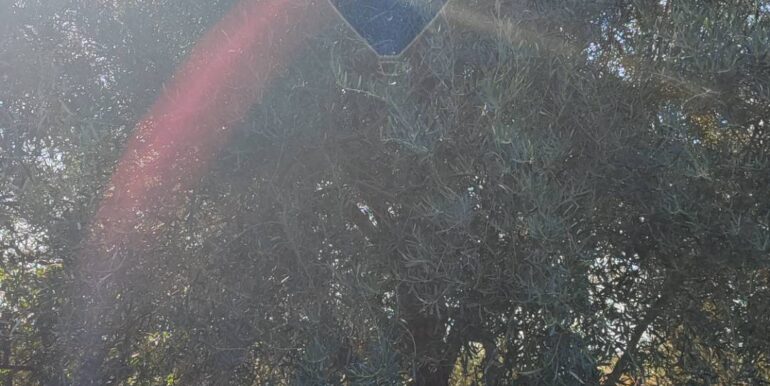 20250124143311-921819-19