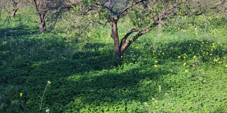 20250124143314-921819-20