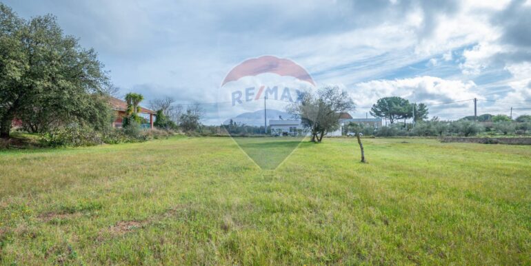 2025012422310-921903-5