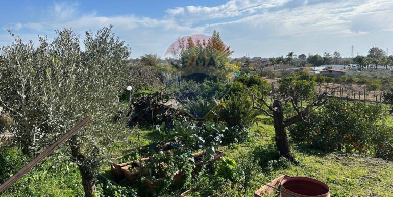 20250127115039-920024-1