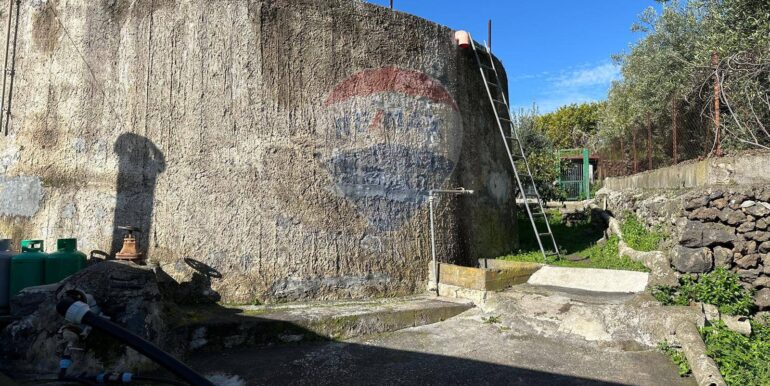 20250127115742-920024-2