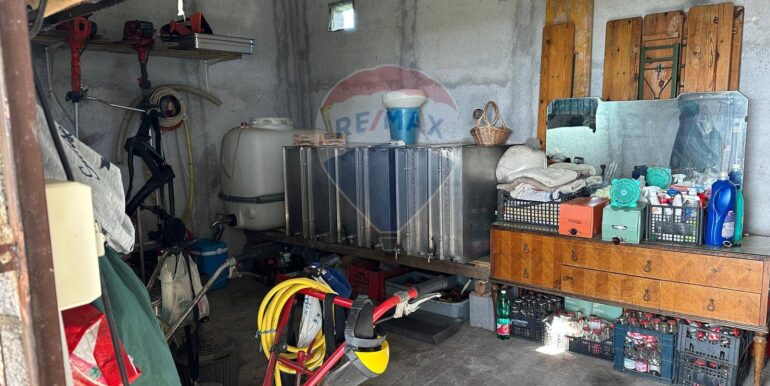 20250127120018-920024-6