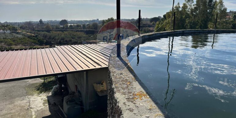 20250127120946-920024-9