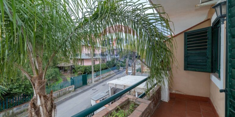 20250131190539-924175-20