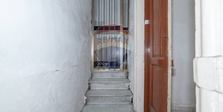 20250203184600-924763-1