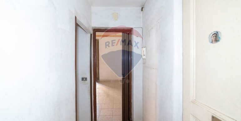 20250203184609-924763-2