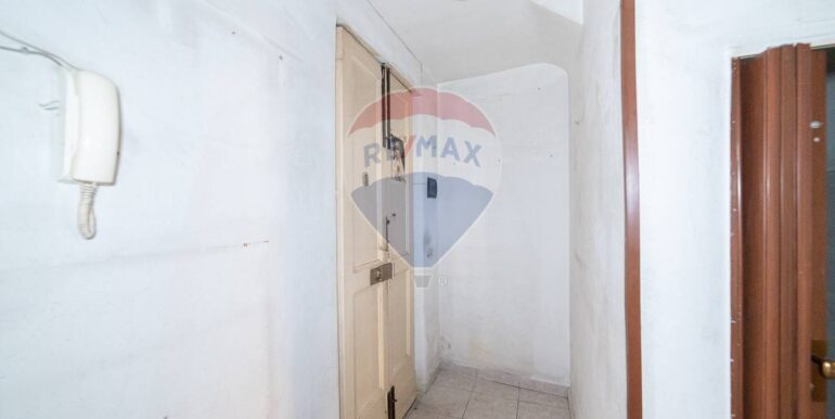 20250203184612-924763-4