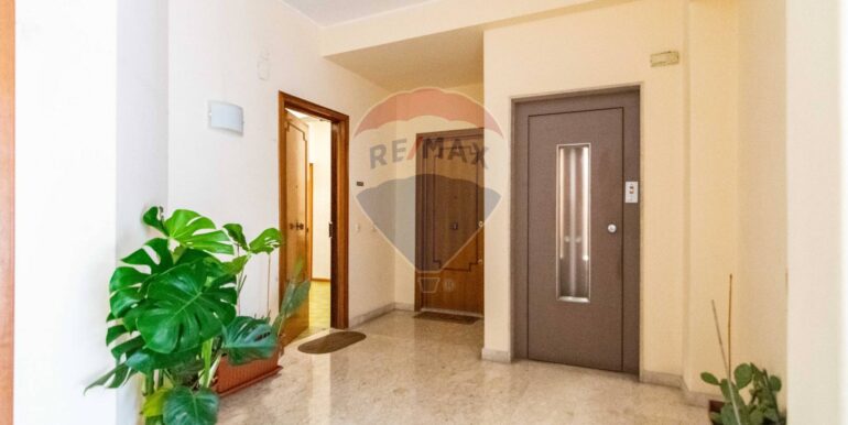 20250206114145-927746-7