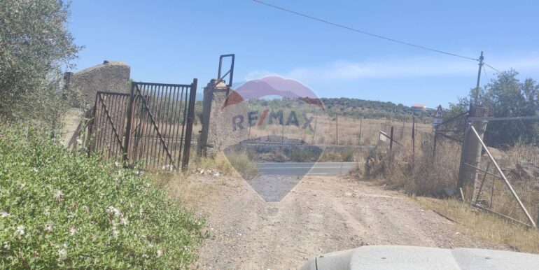 20250217141040-929964-0