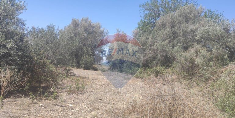 20250217141041-929964-1