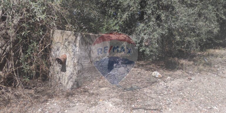 20250217141041-929964-2