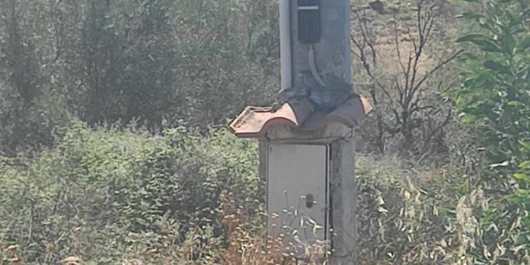 20250217141041-929964-3