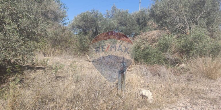 20250217141042-929964-5