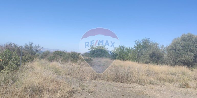 20250217141042-929964-6