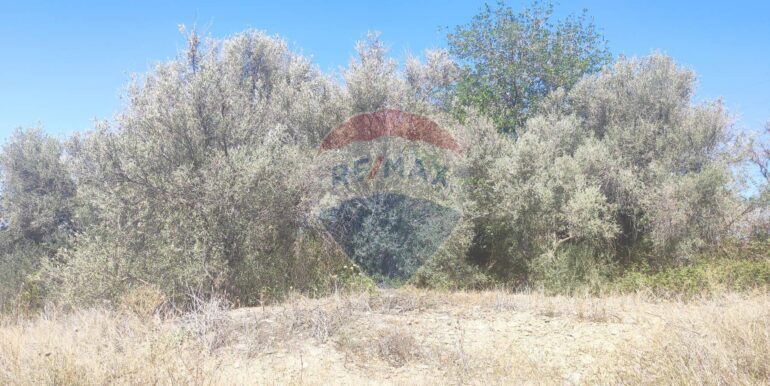 20250217141042-929964-8