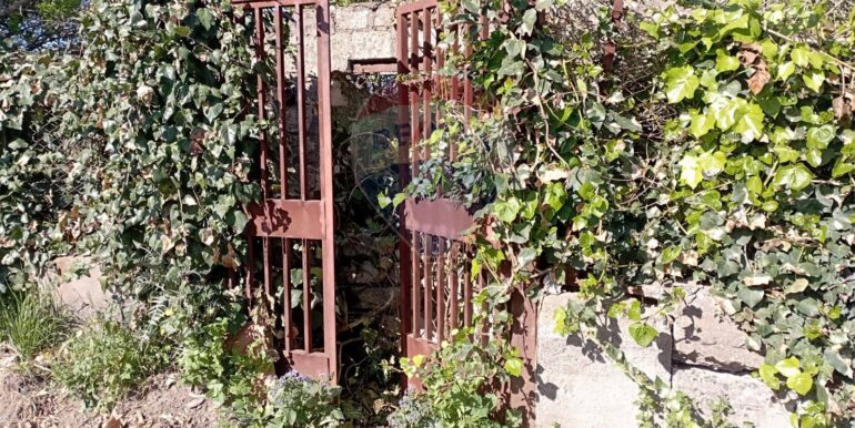 20250221105938-930988-1