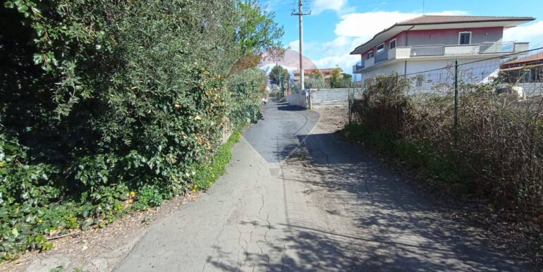 20250221105939-930988-2