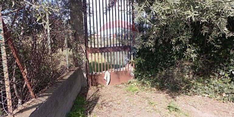 20250221105939-930988-3