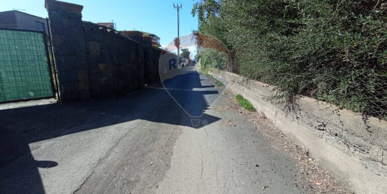 20250221105939-930988-4