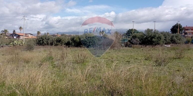 20250221105939-930988-5