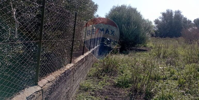 20250221105940-930988-10