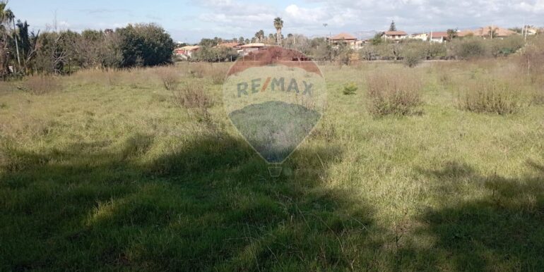 20250221105940-930988-6